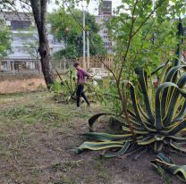 Trabajadores de movimientos sociales ayudan a recuperar escuelas