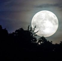 Esta noche se podrá observar a la “Luna de Nieve  en todo su esplendor