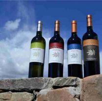 Desde el otro lado del mundo destacaron la producción de Vinos de Cachi Adentro