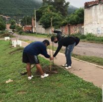 Se realiz&oacute; una nueva plantaci&oacute;n de &aacute;rboles junto a vecinos de Villa Floresta