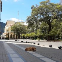 Ante un nuevo brote, ¿Salta volvería al aislamiento?