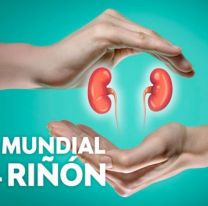 D&iacute;a Mundial del Ri&ntilde;&oacute;n: est&aacute;s son las actividades en Salta