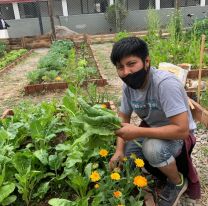 Vecinos podr&aacute;n capacitarse para el cultivo y cuidado de las huertas comunitarias agroecol&oacute;gicas