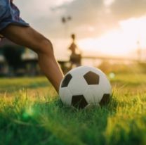 Tiene 14 a&ntilde;os, ama el deporte y la jardiner&iacute;a, y espera con ansias ser adoptado