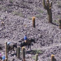 La vida entre los Cerros: cómo viven las familias de la Quebrada del Toro