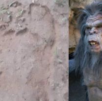 Aseguran que el famoso “Ucumar” existe y tambi&eacute;n vive en Salta