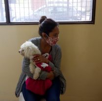 Los turnos para castraciones gratuitas se dar&aacute;n de manera “On Line”