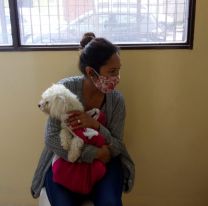 Los turnos para castraciones gratuitas se darán de manera “On Line”