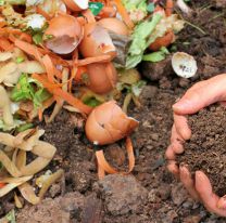 Por qu&eacute; deber&iacute;as empezar a compostar y c&oacute;mo hacerlo en espacios peque&ntilde;os