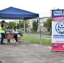 La Campa&ntilde;a de Vacunaci&oacute;n Antirr&aacute;bica llega a barrio Casta&ntilde;ares