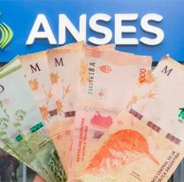 Casi un mill&oacute;n de personas en situaci&oacute;n de vulnerabilidad cobrar&aacute;n un bono de 15.000