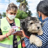 La campaña de vacunación antirrábica llega a Parque Belgrano