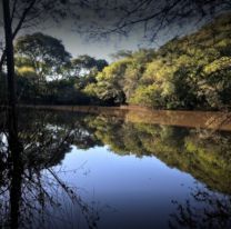 Imperdible reserva natural para visitar en Salta Capital