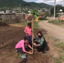 Salta lleva plantados m&aacute;s de 400 &aacute;rboles desde inicio de a&ntilde;o