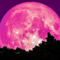 Superluna rosa 2021: c&oacute;mo y d&oacute;nde ver la luna llena de abril