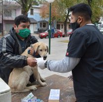 La campaña antirrábica llega a barrio Miguel Ortiz