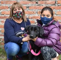 Hoy sigue la campaña antirrábica en la zona Sureste