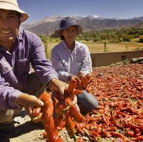 &iexcl;Atenci&oacute;n peque&ntilde;os productores! Banco Naci&oacute;n tiene un cupo de $ 10.000 millones para cr&eacute;ditos