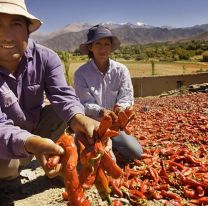 ¡Atención pequeños productores! Banco Nación tiene un cupo de $ 10.000 millones para créditos