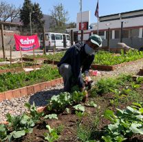 Sumate a los talleres sobre &#8220;Huertas en Casa&#8221; gratuitos