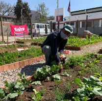 Sumate a los talleres sobre “Huertas en Casa” gratuitos