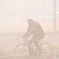 Hay alerta en meteorológica: se viene el viento zonda