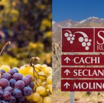 Capacitaci&oacute;n gratuita sobre la Ruta del Vino de Salta