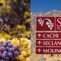 Capacitación gratuita sobre la Ruta del Vino de Salta