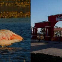 El Parque del Bicentenario fue recocido como &#8220;Sitio de Interés Destacado para la Observación de Aves&#8221;
