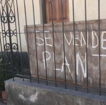Venden plantas para ayudar y curar a su abuela