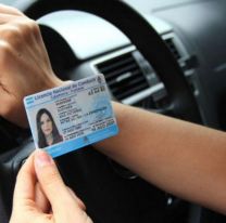 Turnos de licencias de conducir ser&aacute;n reprogramados