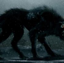 Misterio en Salta por la aparición de &#8220;Familiar&#8221;, una criatura demoníaca que asolaría los cañaverales