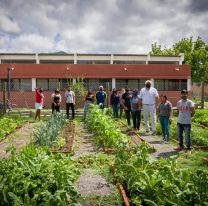 Dictarán talleres gratis de compostaje en casa