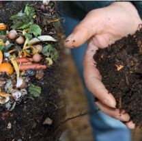 En la tarde de hoy se dictará un taller gratuito de compost