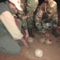 Guardaparques y Polic&iacute;a lograron rescatar 38 quirquinchos y devolverlos a su ambiente