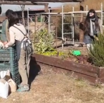 Jóvenes de una fundación salteña venden abono para recaudar fondos
