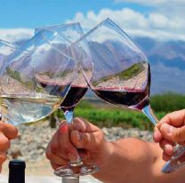 Dos vinos salteños entre los 5 mejores de Argentina