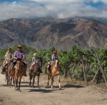 Salta arrancó la temporada de invierno con un impacto económico de más $183 millones