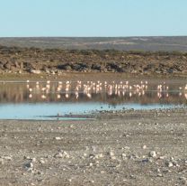 Laguna del Toro: una travesía con paisajes únicos en Salta