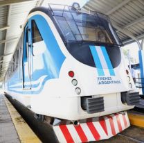 Habilitaron el “Tren Urbano” para todos: precios, paradas y horarios