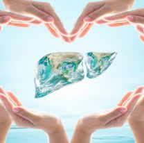 28 de julio: Día mundial contra la Hepatitis