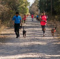 Buscan salteños para sacar a pasear a perros de un centro de adopción