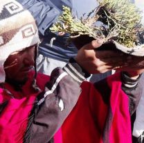 Hoy el Mercado Artesanal celebra a la Pachamama con un convite