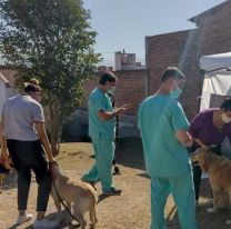 Continúa la campaña de vacunación antirrábica gratuita