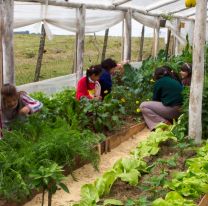 Dictar&aacute;n un taller gratuito de huertas org&aacute;nicas en el Parque de la Familia