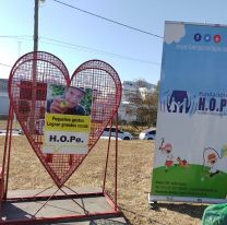 Invitan a los salte&ntilde;os a donar tapitas y ayudar a los ni&ntilde;os con c&aacute;ncer