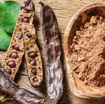 Salta trabaja en la elaboraci&oacute;n y posicionamiento de la harina de algarroba