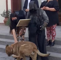 VIDEO | Abdul fue reconocido por su labor con los perritos y pidi&oacute; una fiscal&iacute;a animal