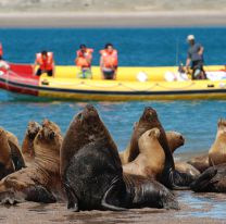Un refugio en el Sur: Las Grutas, un paraíso en la Patagonia