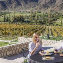 “VinArte”: la ruta del vino de altura de Salta y el arte